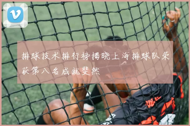 排球技术排行榜揭晓上海排球队荣获第八名成就斐然
