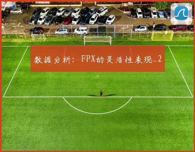 数据分析：FPX的灵活性表现_2
