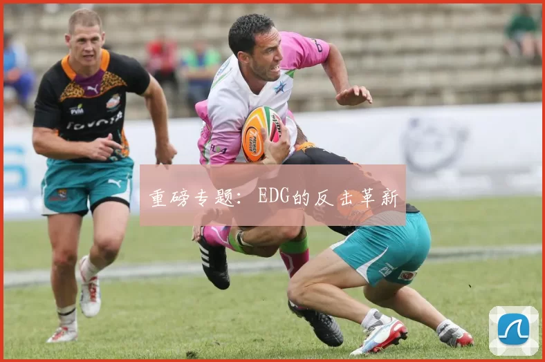 重磅专题：EDG的反击革新